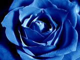 160_f_183758_yjtuzwtl3j1gtm5fbyhe1pdheayhin