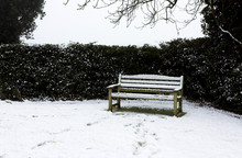 Bench In Snow