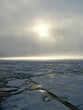 the arctic sea