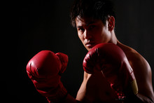 Boxer Series