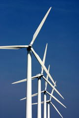 Canvas Print - electricity wind mills