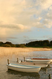 Fototapeta Pomosty - boat on a lake