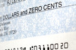 detail of check