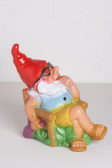 garden gnome - gartenzwerg