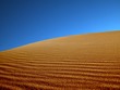 Leinwandbild Motiv sand dunes in the desert.