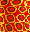 red and yellow dots