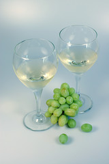 wine and grapes