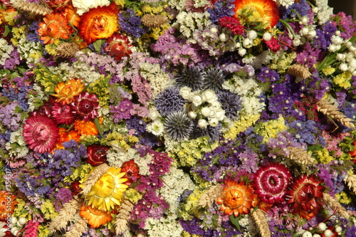 Getrocknete Blumen 2 Buy This Stock Photo And Explore