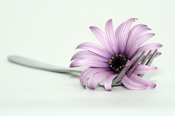 fork and flower