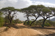 africa landscape 005