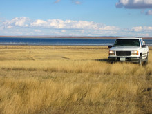 Pickup Out In The Blowing Prairie Grasses