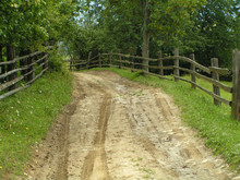 Rustic Country Road Free Stock Photo - Public Domain Pictures