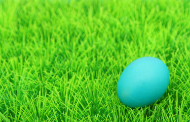 easter egg on grass