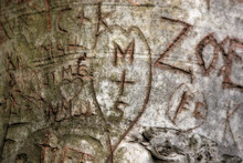 Initials Carved In A Tree