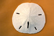 front of sand dollar 2