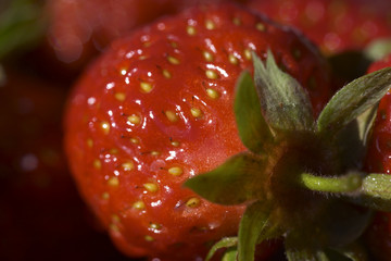 Canvas Print - close of strawberry