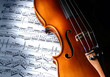Leinwanddruck Bild - violin