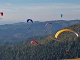 drachenfliegen