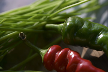 Wall Mural - red and green pepper