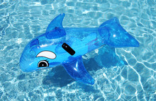 Inflatable Dolphin On Blue Swimming Pool