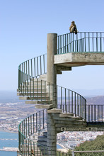 Barbary Ape Or Monkey Sitting On Spiral Steps On Gibraltar
