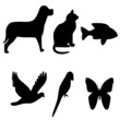 wild and domestic animals shapes illustration