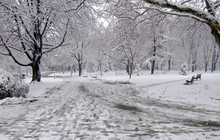 Winter Park Path
