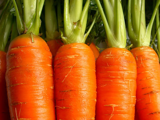 carrots