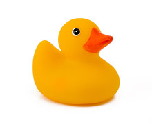 Single Yellow Duck Isolated On White