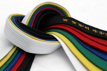 Wall Mural - martial arts belts 3