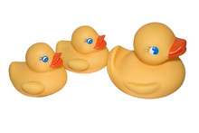 rubber-duckies-free-stock-photo-public-domain-pictures