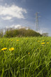 power line over meadow, uk.