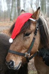 Wall Mural - xmas horses