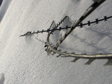 Barbed Wire In Snow 2