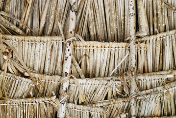 sun umbrella interior made of leaves