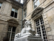 sphynx in paris, sully palace in marais