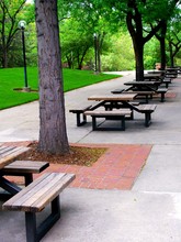Long Rows Of Outdoor Picnic Tables