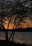 Fototapeta Na ścianę - charles river at dusk