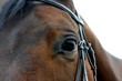 bay horse eye