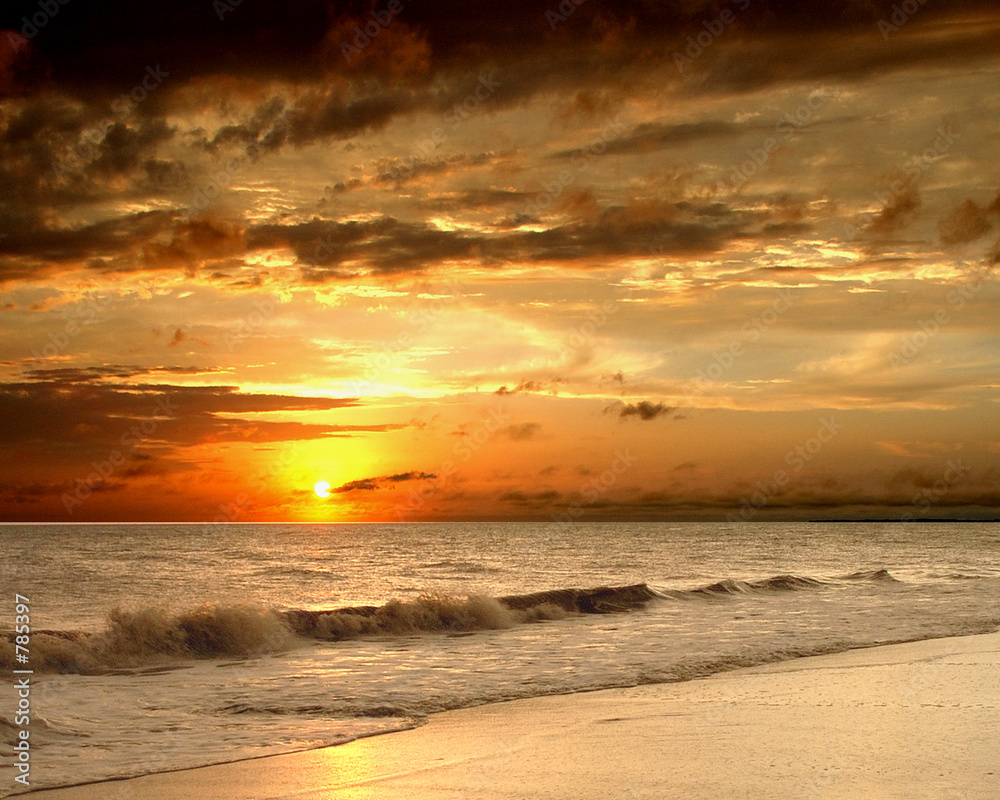sunset on the beach - obrazy, fototapety, plakaty 