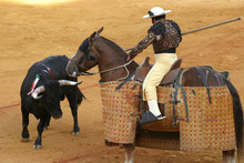 Bullfighting In Sevilla