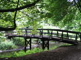 Fototapeta Las - brücke