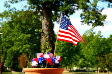 American Patriotism - Flag And Tree