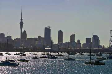 auckland waterfront