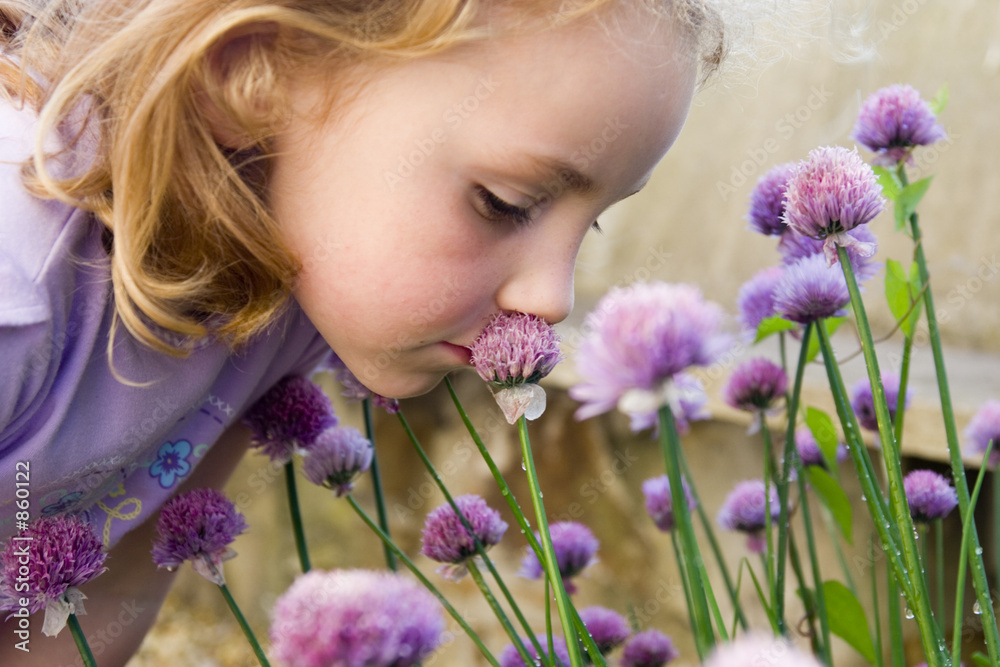 young girl smelling flowers - obrazy, fototapety, plakaty 