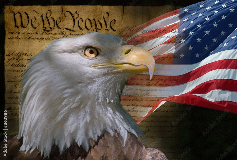bald eagle and american flag - obrazy, fototapety, plakaty 