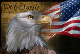 bald eagle and american flag
