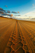 Leinwanddruck Bild - road on the beach