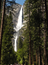 Yosemite Falls Above