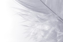 White On White